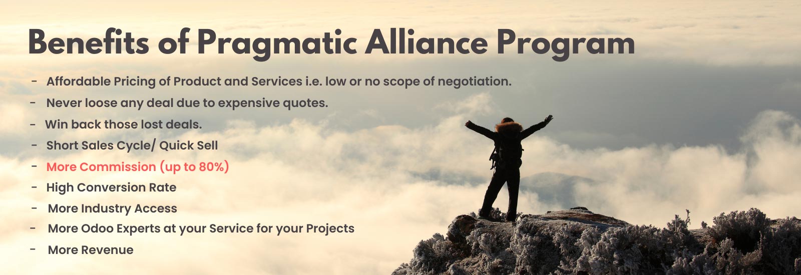 Benefits of Pragmatic Alliance Program